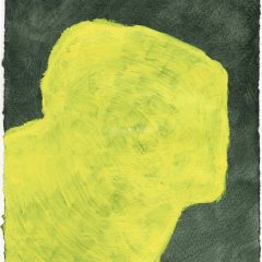 yellow head